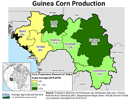 images\GU\cropprod\Guinea_Corn_preview.png
